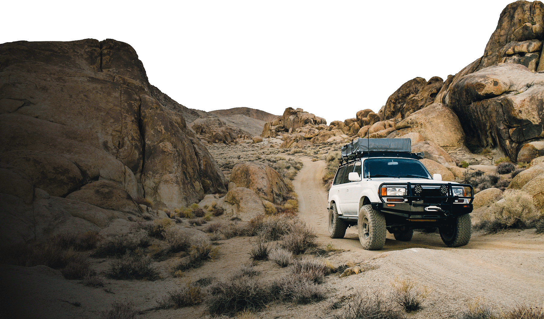 Tepui Desert Foreground