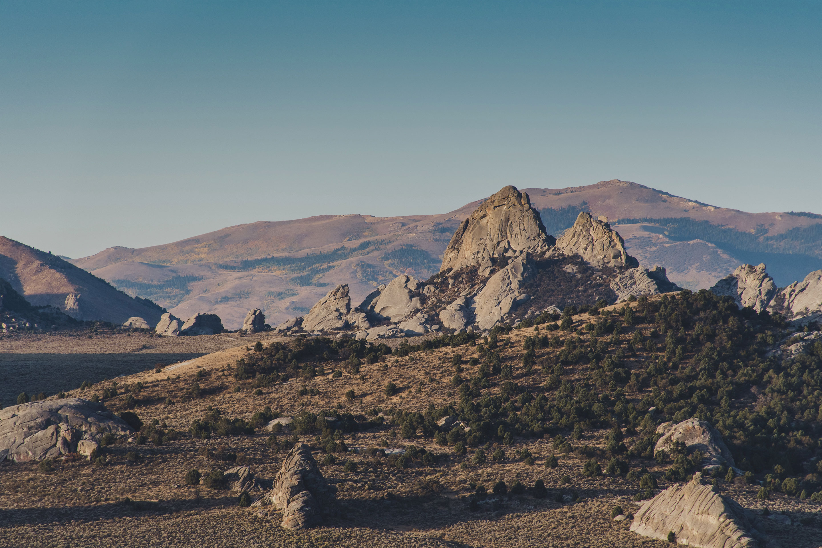 Tepui Desert Background