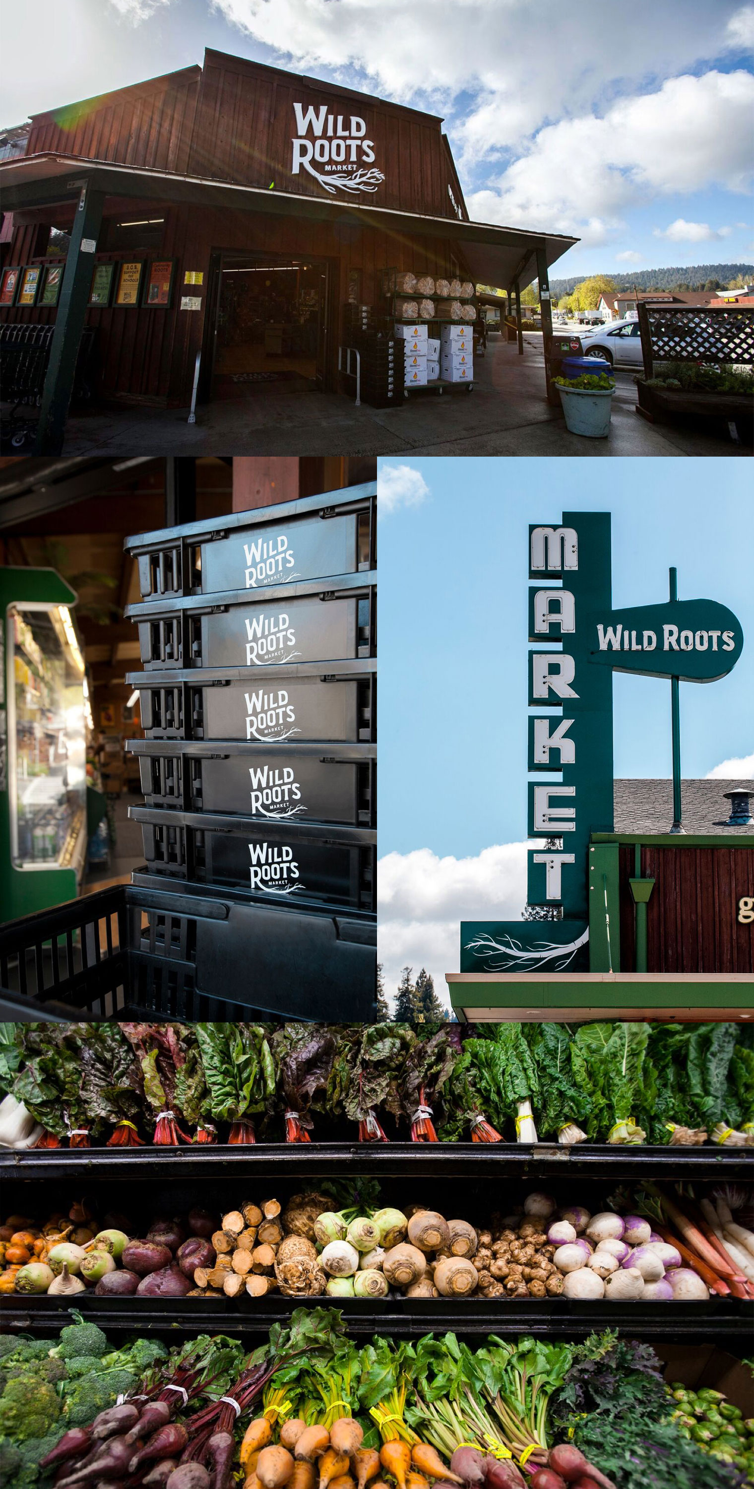 Wild Roots Signage