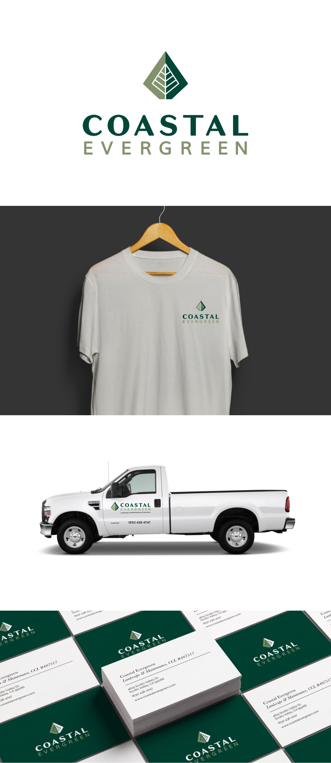 Coastal Evergreen - Branding