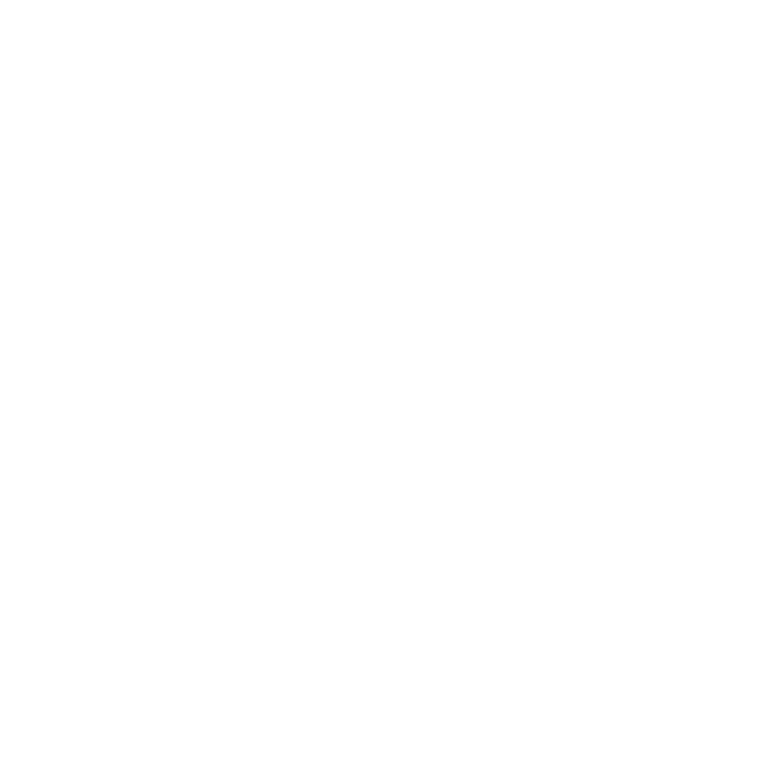 Shopify Ecommerce