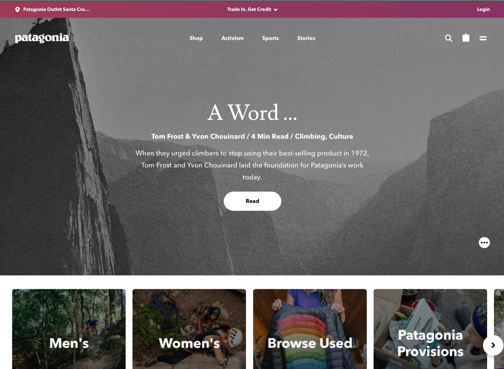 Patagonia Web Design