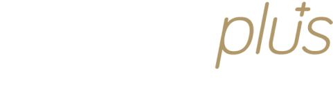 Shopify Plus Solutions Partner